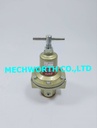 NSV-204