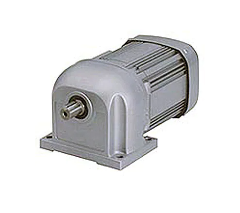 GM-S-0.2kW-4P-1/5